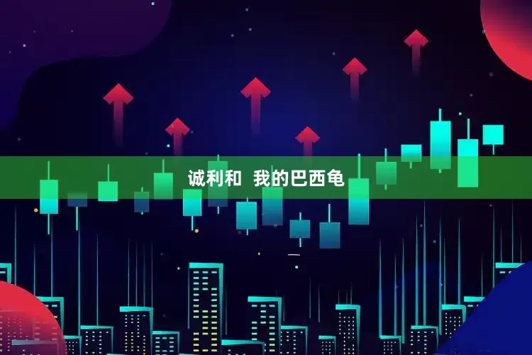 诚利和  我的巴西龟