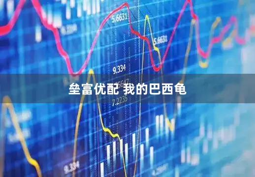 垒富优配 我的巴西龟