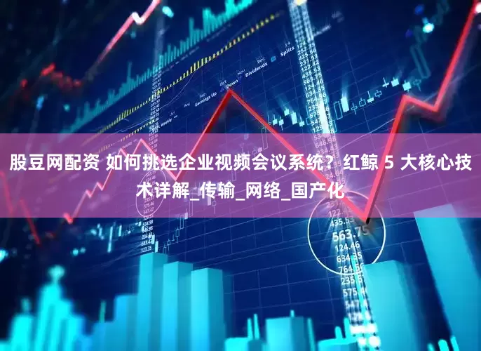 股豆网配资 如何挑选企业视频会议系统？红鲸 5 大核心技术详解_传输_网络_国产化