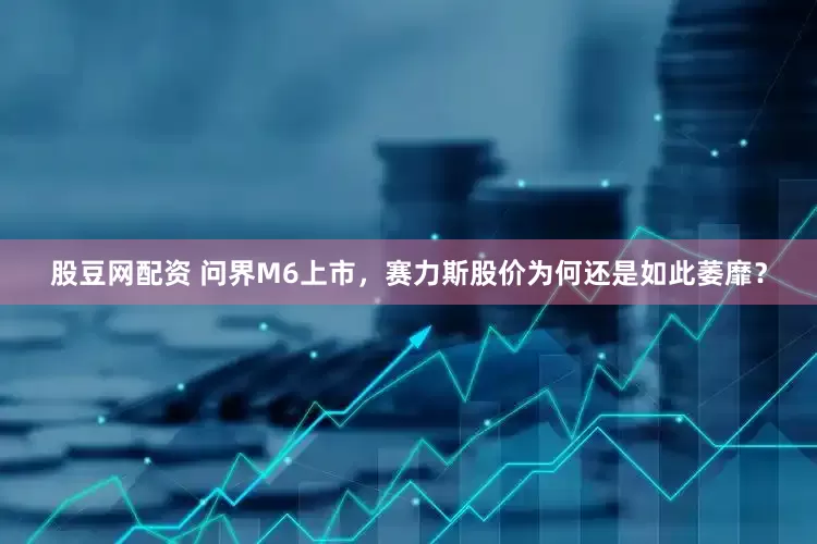 股豆网配资 问界M6上市，赛力斯股价为何还是如此萎靡？